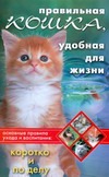 Правильная кошка, удобная для жизни