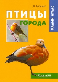 Птицы города