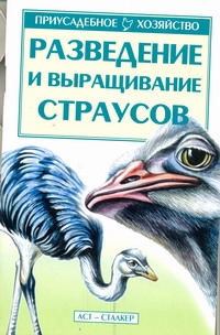 Разведение и выращивание страусов