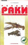 Речные раки Речные раки Рахманов А.И.