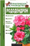 Рододендрон