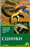 Сцинки Сцинки Чегодаев А.Е.