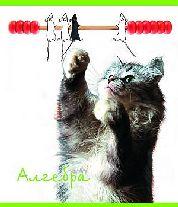 Тет.Животные.Алгебра-35578 Тет.Животные.Алгебра-35578