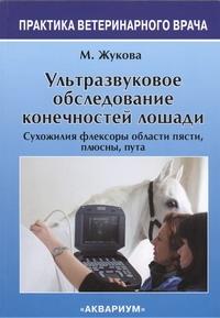 Ультразвуковое Обследование конечностей лошади