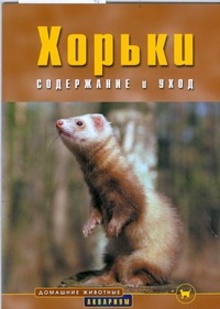 Хорьки содержание и уход