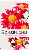 Хризантемы Хризантемы Кабанцева И.Н.