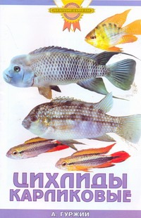 Цихлиды карликовые