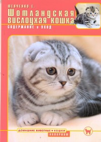 Шотландская вислоухая кошка : Содержание и уход