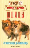 Шпицы