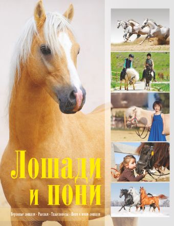 Лошади и пони Лошади и пони Жабцев В.М.