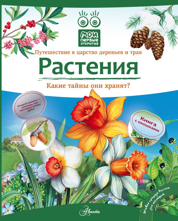 Растения Растения Елумеева Татьяна Георгиевна