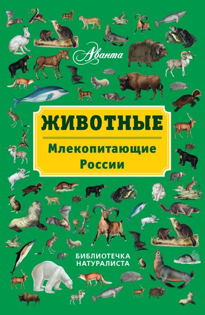 Животные: млекопитающие России - фото 1