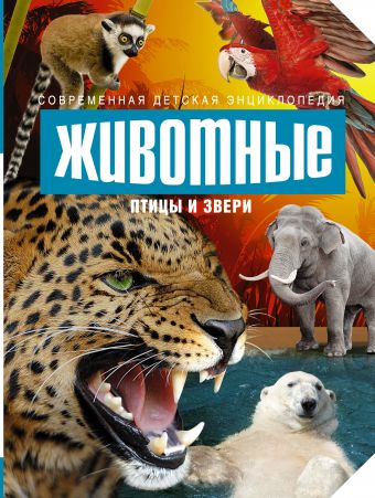 Животные: птицы и звери рублев с звери и птицы россии энциклопедия для детей