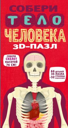 3D-пазл. Собери тело человека