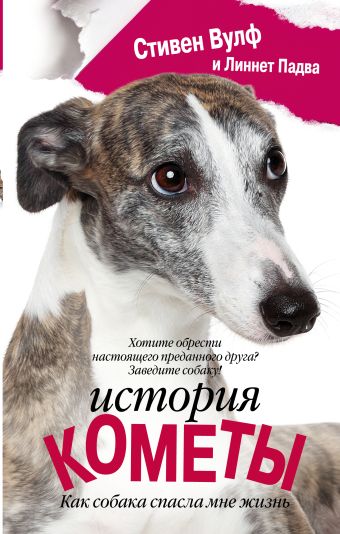 История Кометы. Как собака спасла мне жизнь История Кометы. Как собака спасла мне жизнь Вулф С., Падва Л.