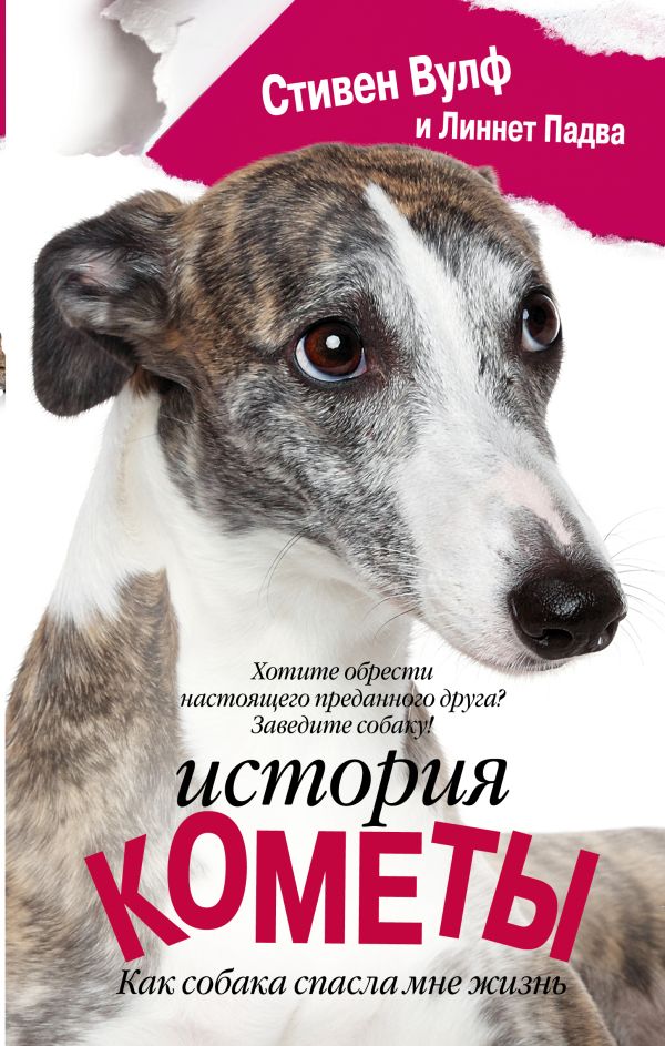 История Кометы. Как собака спасла мне жизнь История Кометы. Как собака спасла мне жизнь Вулф С., Падва Л.