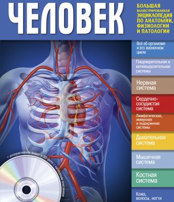 Человек паркер стив большой иллюстрированный справочник по анатомии физиологии и патологии cd