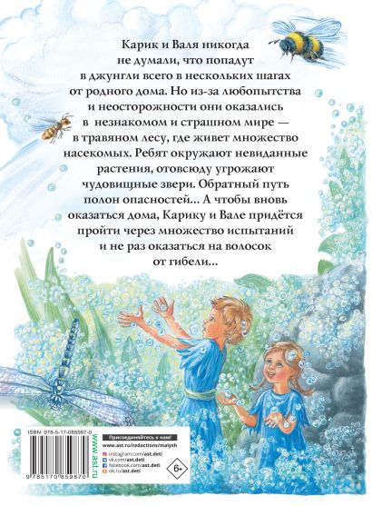 Необыкновенные приключения Карика и Вали (Ян Ларри) - купить книгу в ...