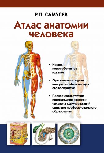 Атлас анатомии человека. Учебное пособие для студентов учреждений среднего профессионального образования Атлас анатомии человека. Учебное пособие для студентов учреждений среднего профессионального образования Самусев Р.П.