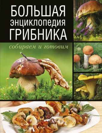 Большая энциклопедия грибника. Собираем и готовим. Большая энциклопедия грибника. Собираем и готовим. Поленов А.Б.