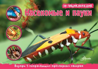 Кульнева М.Л. Насекомые, пауки, многоножки. 3D панорама насекомые пауки многоножки начальная школа