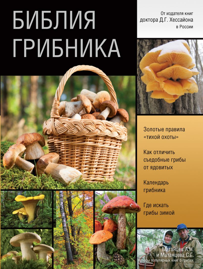 Грибная книга с картинками