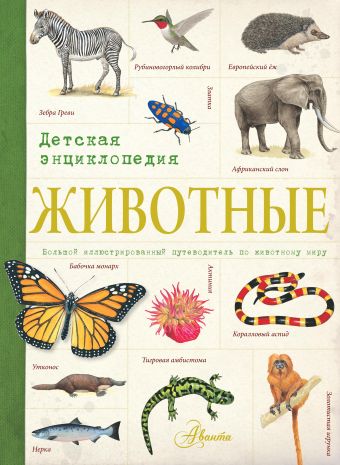 Животные. Детская энциклопедия животные мира детская энциклопедия
