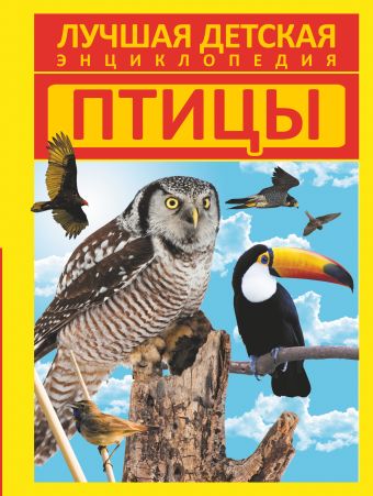 Птицы Птицы .