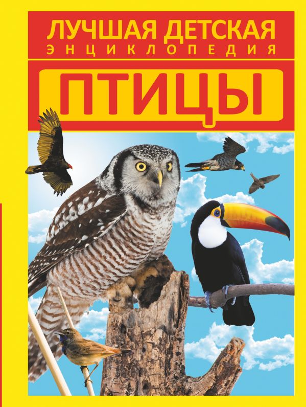 Птицы Птицы .