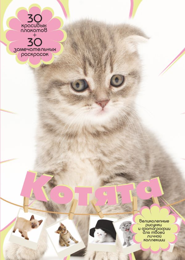Котята Котята Торманова А.С.