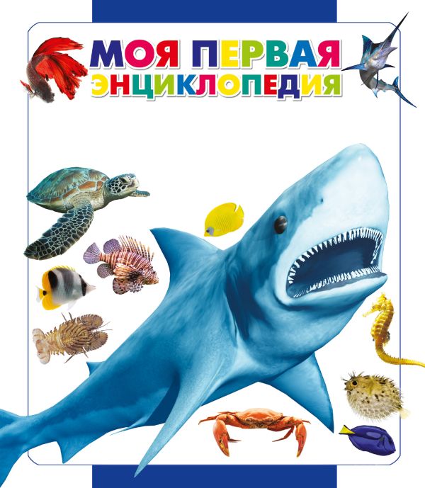 Подводный мир Подводный мир Спектор А.А.
