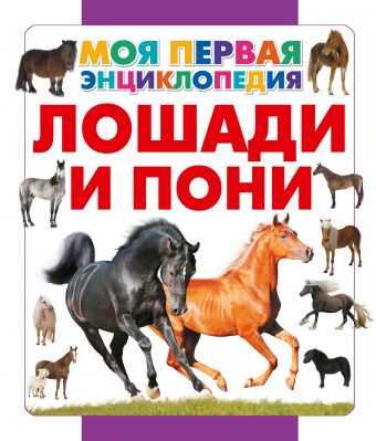Лошади и пони Лошади и пони Спектор А.А.