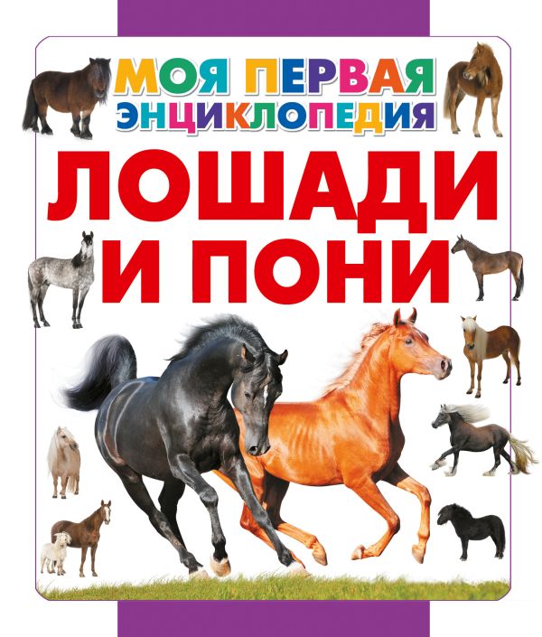 Лошади и пони Лошади и пони Спектор А.А.