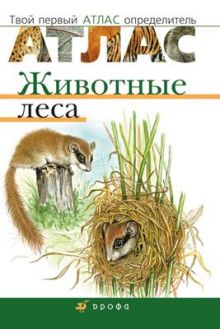 Животные леса.Твой первый атлас-определ.