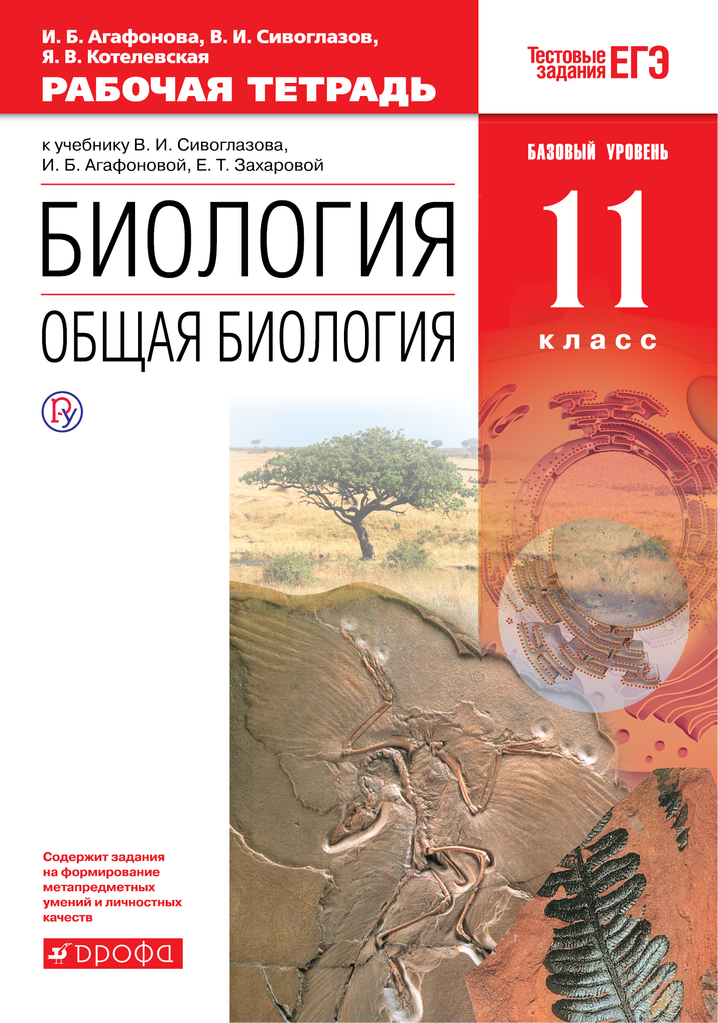 Агафонова И.Б., Сивоглазов В.И. Биология. Общая биология. 11 класс. Базовый уровень. Рабочая тетрадь. Агафонова И.Б., Сивоглазов В.И. Биология. Общая биология. 11 класс. Базовый уровень. Рабочая тетрадь.