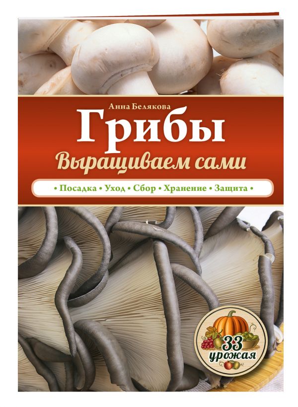

Грибы. Выращиваем сами
