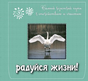 Радуйся жизни! Самый короткий путь к спокойствию и счастью Радуйся жизни! Самый короткий путь к спокойствию и счастью