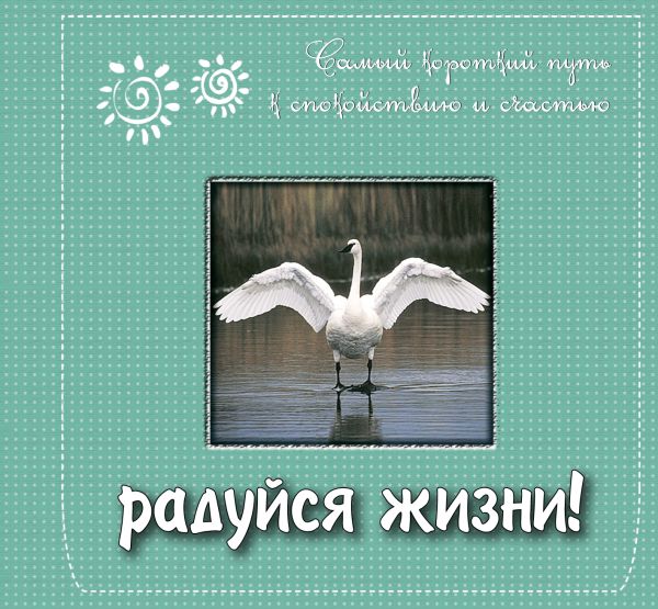Радуйся жизни! Самый короткий путь к спокойствию и счастью Радуйся жизни! Самый короткий путь к спокойствию и счастью