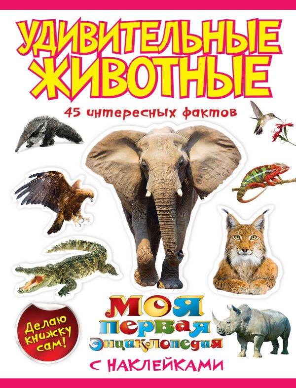 Удивительные животные Удивительные животные