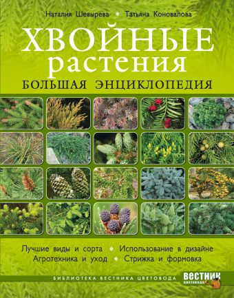 Хвойные растения. Большая энциклопедия Хвойные растения. Большая энциклопедия Шевырева Н., Коновалова Т.