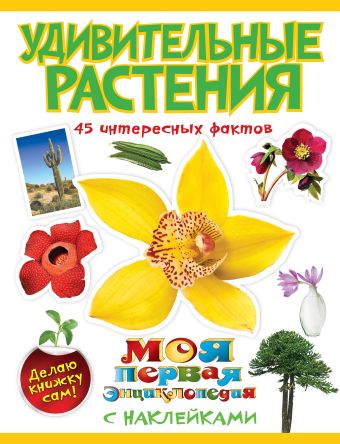 Удивительные растения Удивительные растения