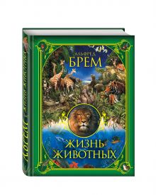 Жизнь животных