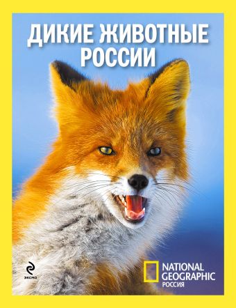 Дикие животные России животные россии