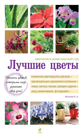 Лучшие цветы. Цветение в доме круглый год (белая обложка) (Подарочные издания. Книги на карточках) Лучшие цветы. Цветение в доме круглый год (белая обложка) (Подарочные издания. Книги на карточках) Волкова Е.А.