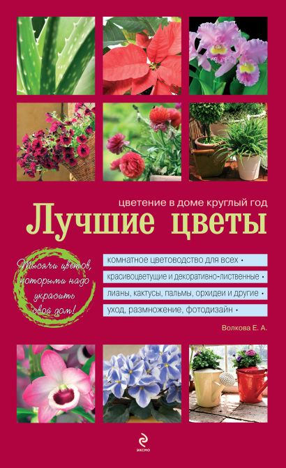 Лучшие цветы. Цветение в доме круглый год (красная обложка) - фото 1