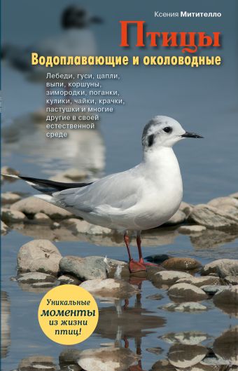 

Птицы. Водоплавающие и околоводные