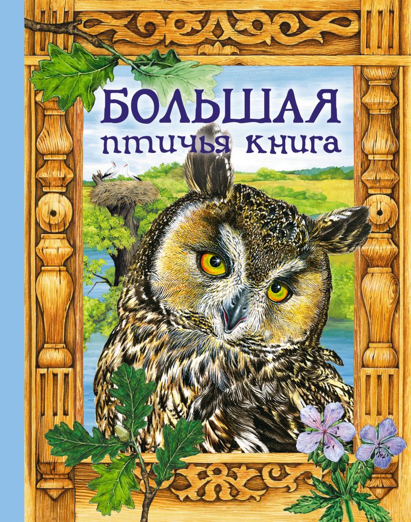 Хитрая птица скребицкий