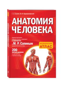 Анатомия человека