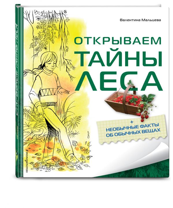 Открываем тайны леса Открываем тайны леса Мальцева В.Е.