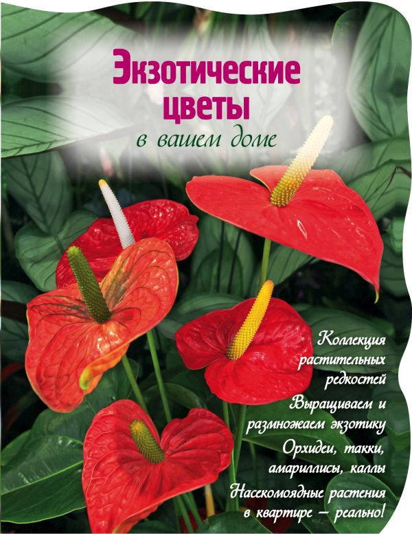 

Экзотические цветы в вашем доме (Вырубка. Цветы в саду и на окне)